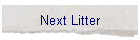 Next Litter